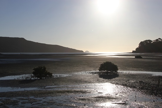 Bei Colville, Coromandel