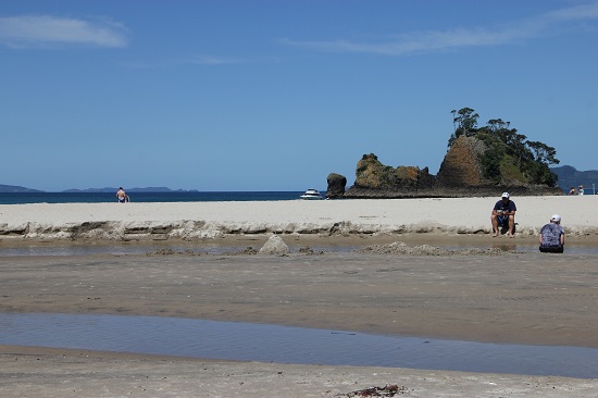 Whangapoua Beach im Zustand der Überfüllung