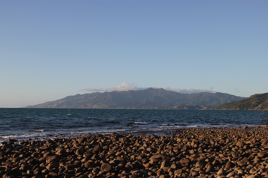 Zwischen Colville und Coromandel Town