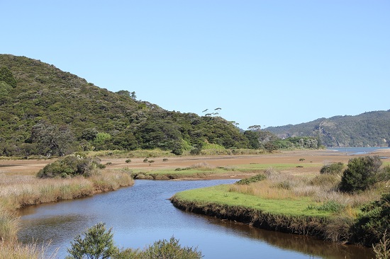 Zwischen Kennedy Bay und Little Bay