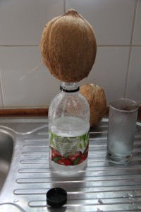Peters Coconut Water Device