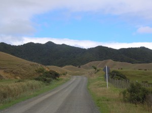 In Neuseeland häufig anzutreffen: ungeteerte Pisten