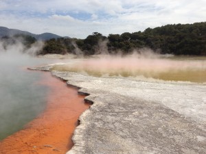 Rotorua - ein Neuseelandklassiker (c) Christof Hock / backpackerpack.de