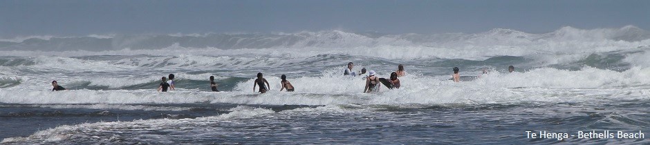 Bathers at Bethells Beach, New Zealand
