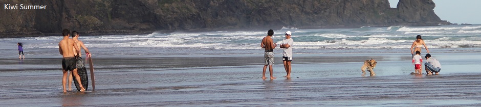 Kiwi summer at Bethells Beach, New Zealand