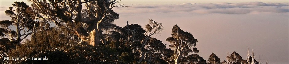 Mt. Egmont, Taranaki, New Zealand