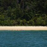 Ein Paradies für Kayaker